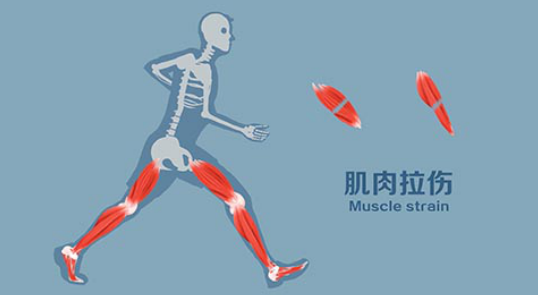 邵陽創(chuàng)傷骨科,邵陽風濕病區(qū),邵陽骨質(zhì)增生,邵陽關(guān)節(jié)病區(qū),邵陽頸椎病區(qū)