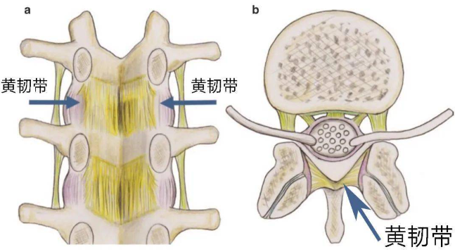 邵陽創(chuàng)傷骨科,邵陽風濕病區(qū),邵陽骨質(zhì)增生,邵陽關(guān)節(jié)病區(qū),邵陽頸椎病區(qū)